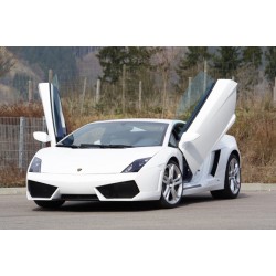 LSD Doors για Lamborghini Gallardo LP560-4 